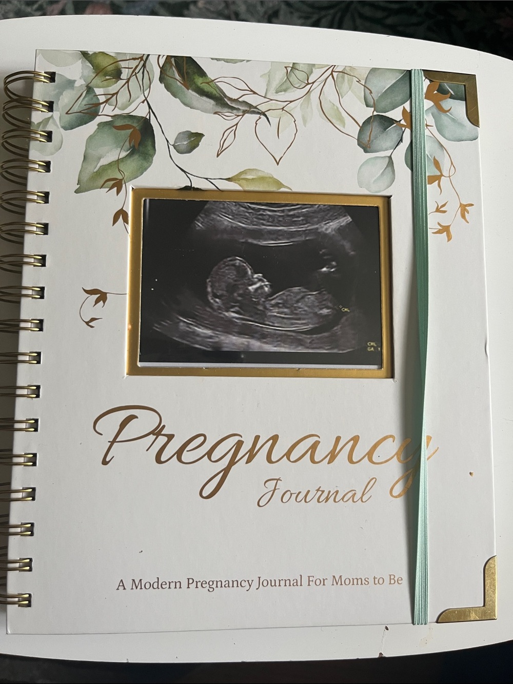 Pregnancy Journal - White & Green Pregnancy Journal with Gold Accents